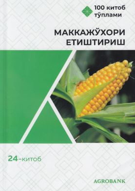 Маккажўхори етиштириш