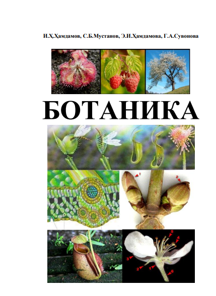 Ботаника