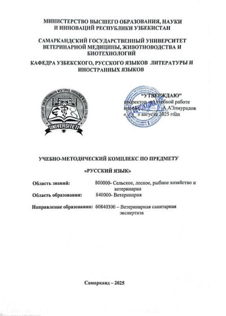 РУССКИЙ ЯЗЫК