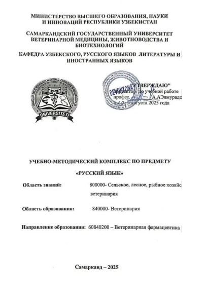 РУССКИЙ ЯЗЫК