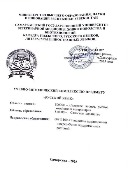 РУССКИЙ ЯЗЫК