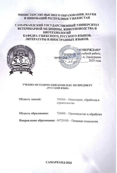 РУССКИЙ ЯЗЫК