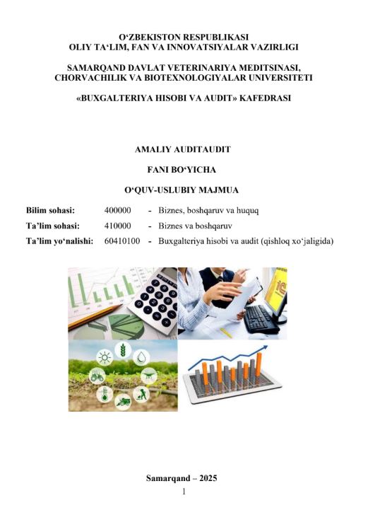 AMALIY AUDIT