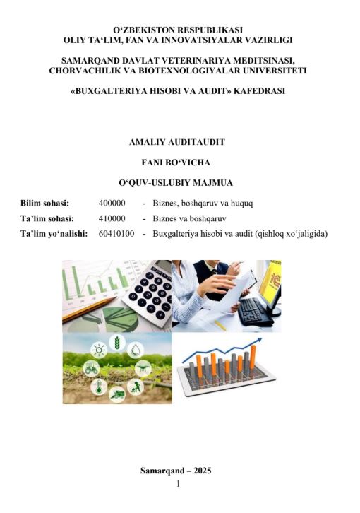 AMALIY AUDIT