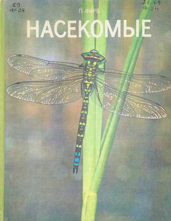 НАСЕКОМЫЕ