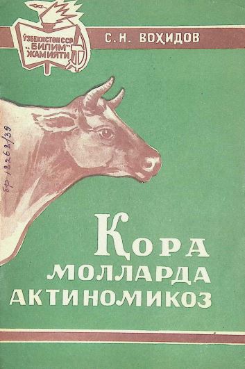 ҚОРАМОЛЛАРДА АКТИНОМИКОЗ