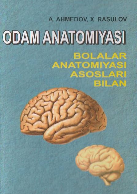 ODAM ANATOMIYASI BOLALAR ANATOMIYASl ASOSLARI BILAN