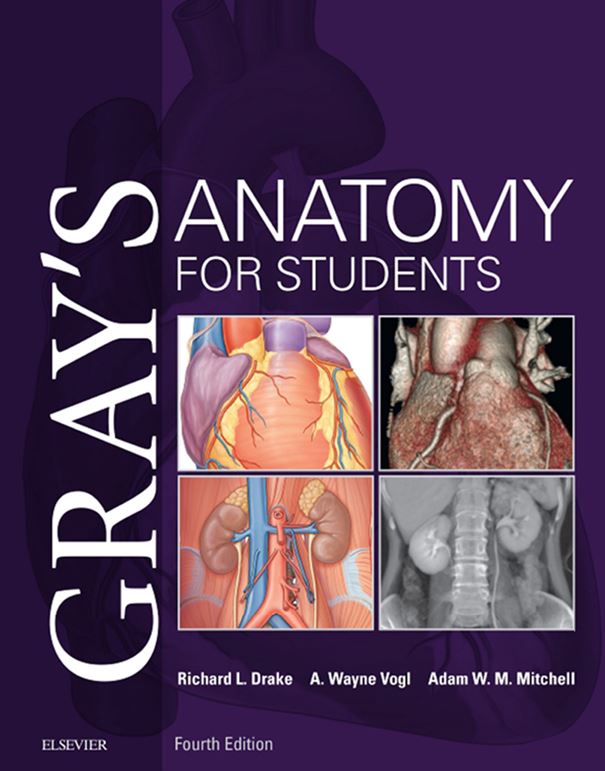 GRAY'S ANATOMY FOR STUDENTS, FOURTH EDITION