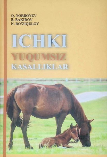 ICHKI YUQUMSIZ KASALLIKLAR