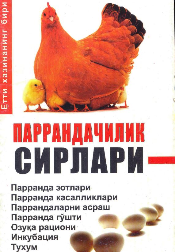 ПАРРАНДАЧИЛИК СИРЛАРИ
