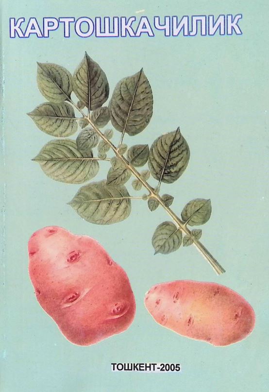 КАРТОШКАЧИЛИК