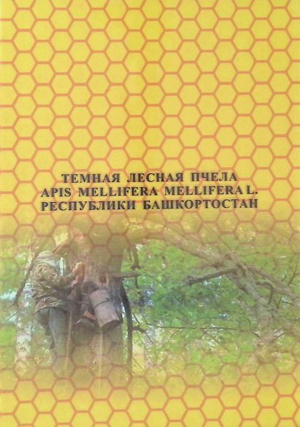 Темная лесная пчела