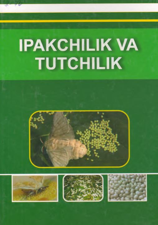 IPAKCHILIK VA TUTCHILIK