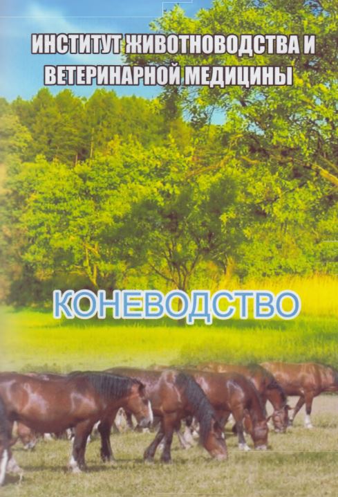 Коневодство