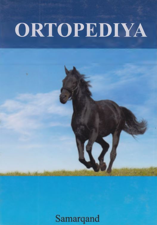 Ortopediya