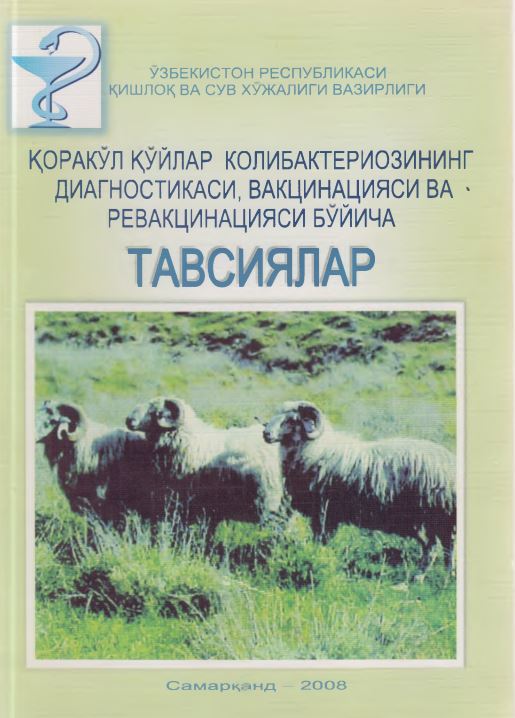 ҚОРАКЎЛ ҚЎЙЛАР КОЛИБАКТЕРИОЗИНИНГ ДИАГНОСТИКАСИ