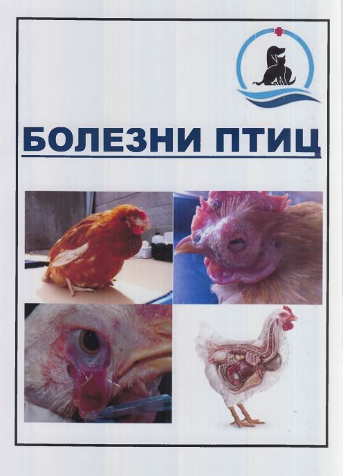 Болезни птиц 
