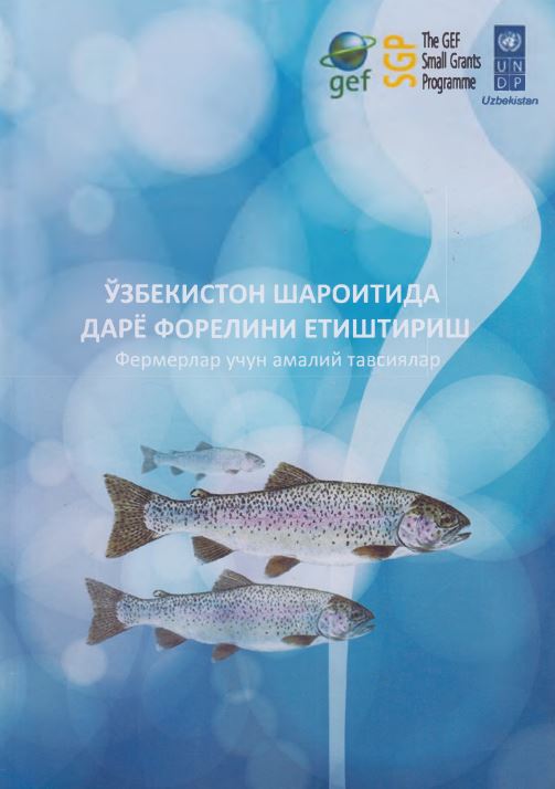 ЎЗБЕКИСТОН ШАРОИТИДА ДАРЁ ФОРЕЛИНИ ЕТИШТИРИШ