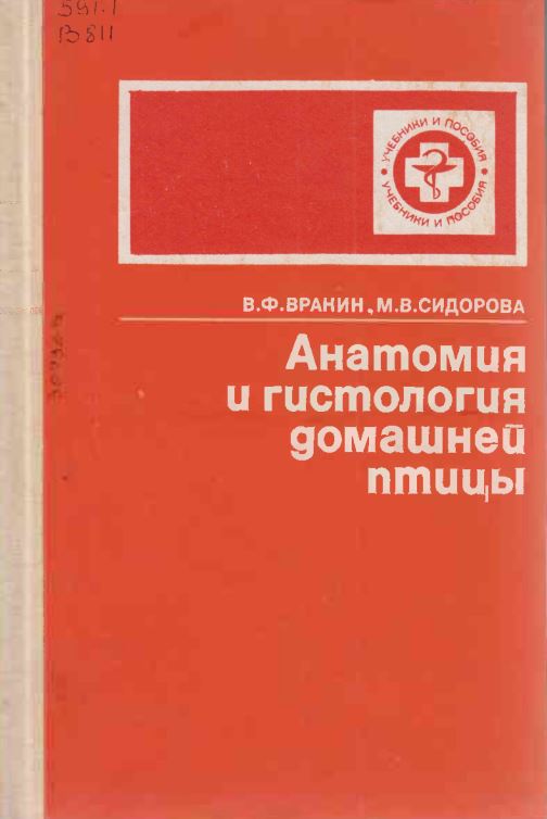 Анатомия и гистология домашней птицы