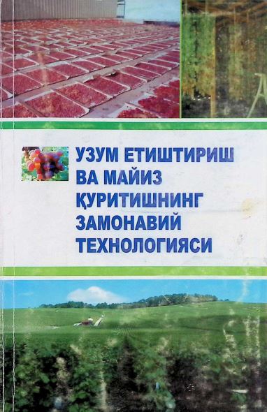 УЗУМ ЕТИШТИРИШ ВА МАЙИЗ ҚУРИТИШНИНГ ЗАМОНАВИЙ ТЕХНОЛОГИЯСИ