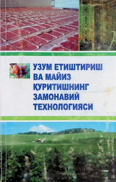УЗУМ ЕТИШТИРИШ ВА МАЙИЗ ҚУРИТИШНИНГ ЗАМОНАВИЙ ТЕХНОЛОГИЯСИ