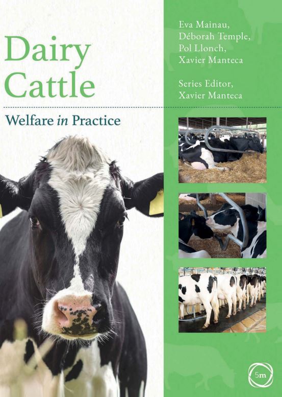 Dairy Cattle