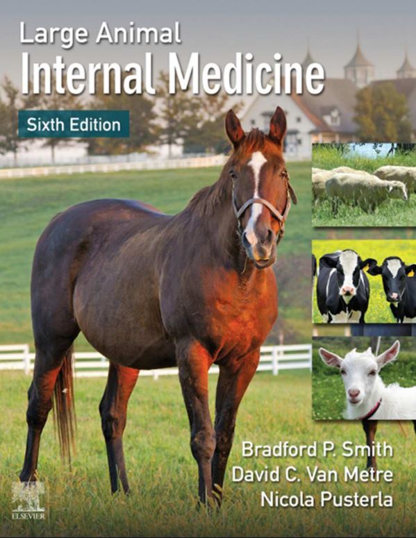 Large Animal Internal Medicine