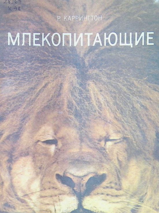 МЛЕКОПИТАЮЩИЕ