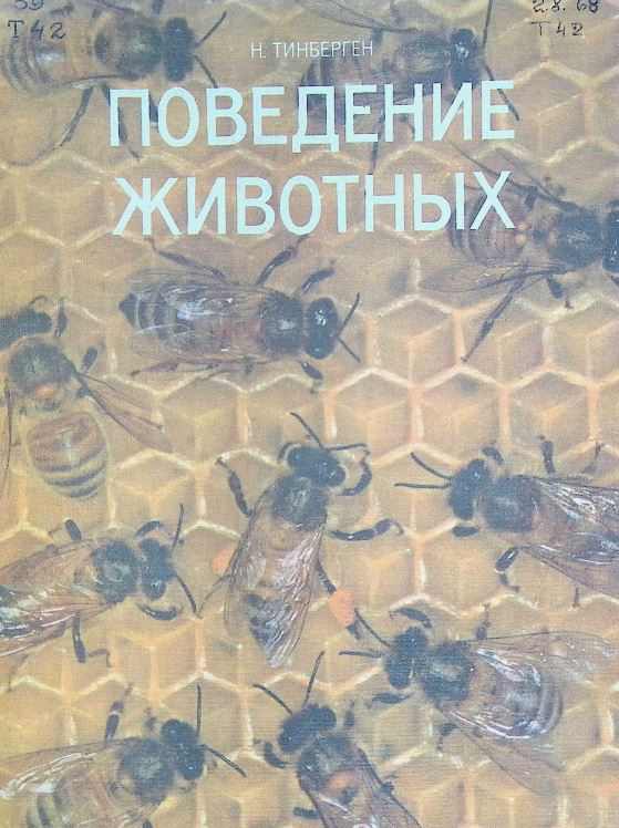ПОВЕДЕНИЕ ЖИВОТНЫХ