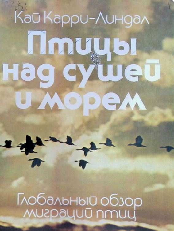 Птицы над сушей и морем