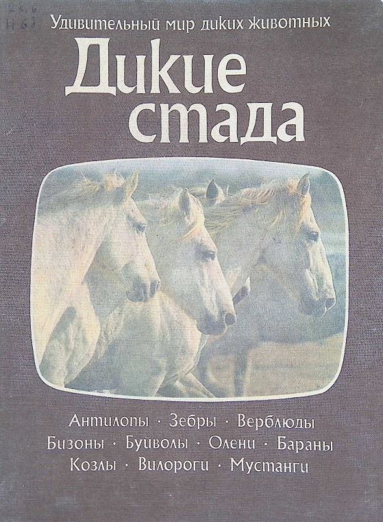 Дикие стада