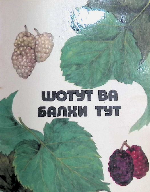 ШОТУТ ВА БАЛХИ ТУТ