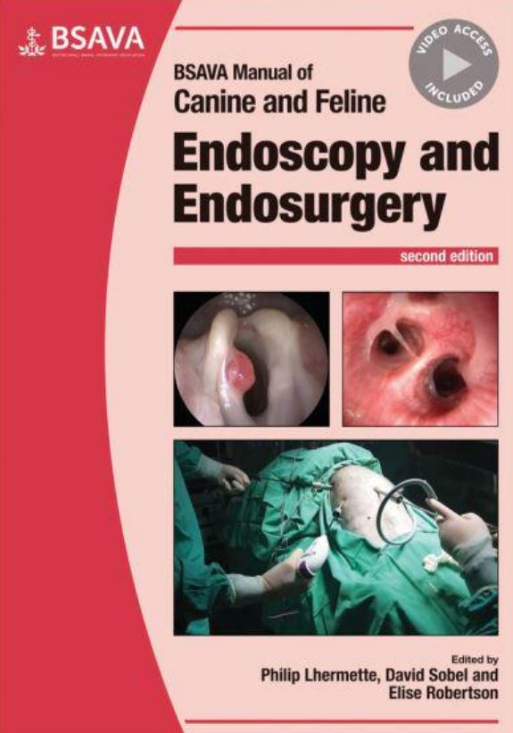 Endoscopy and Endosurgery