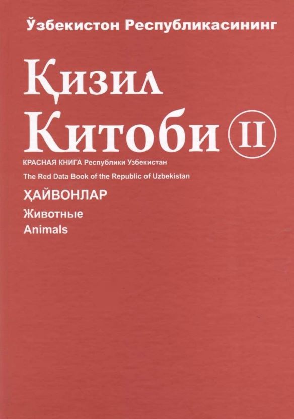 Қизил Китоб-II