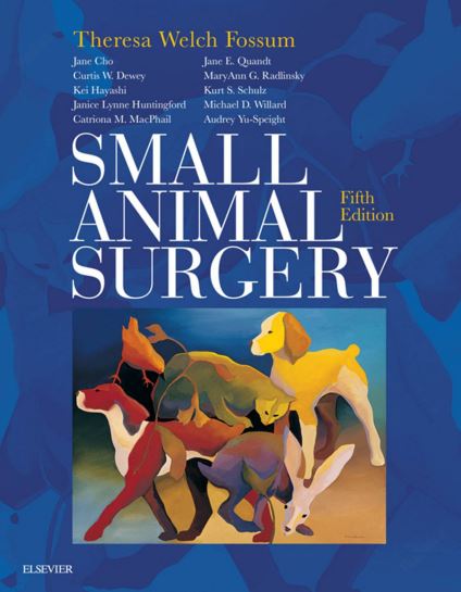 Small animal surgery