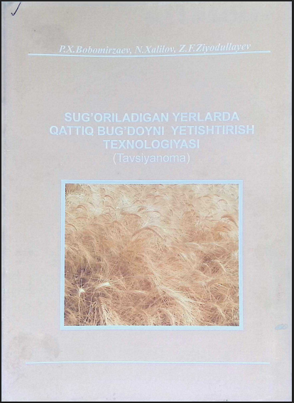 SUG'ORILADIGAN YERLARDA QATTIQ BUG'DOYNI YETISHTIRISH TEXNOLOGIYASI