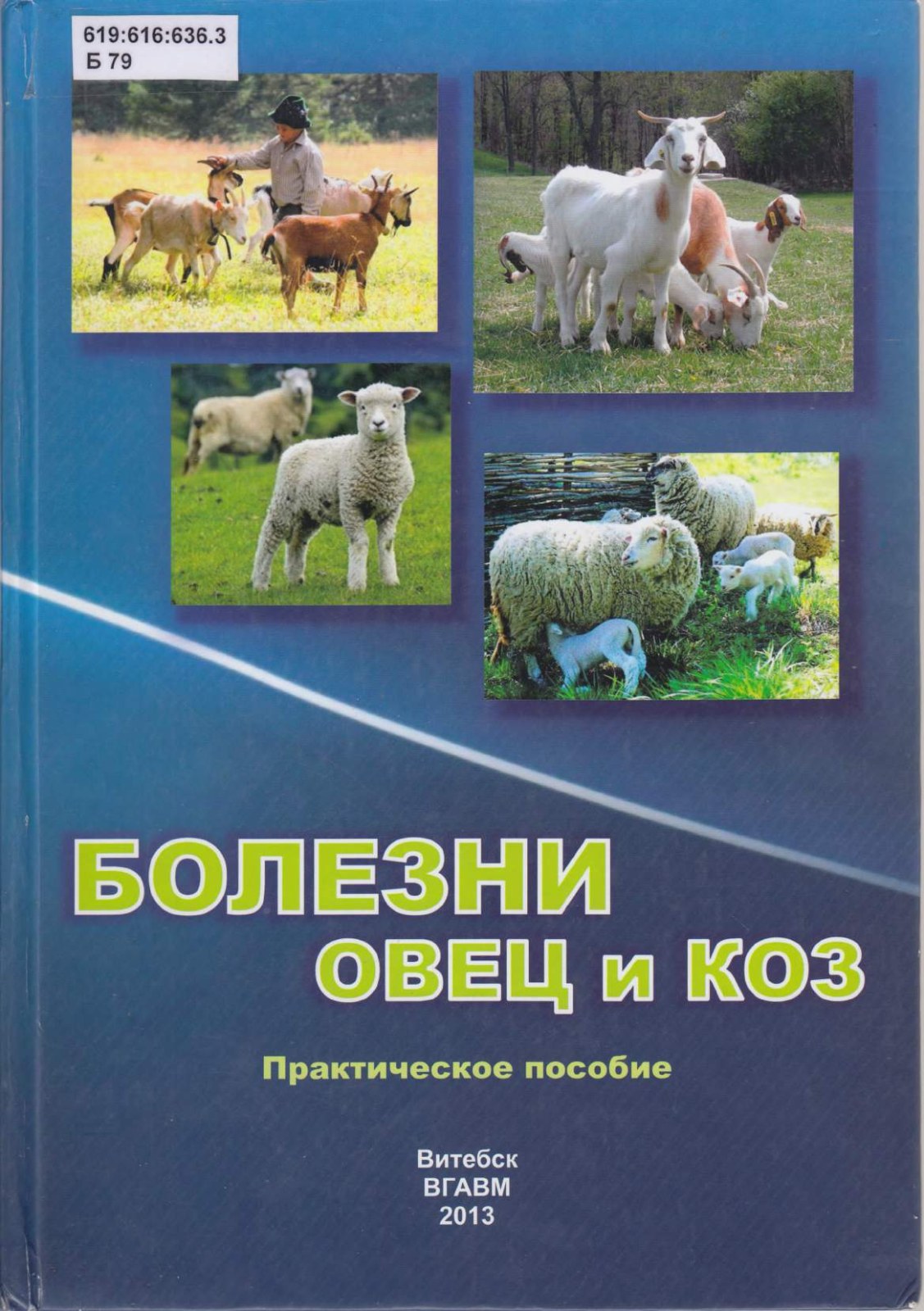 Болезни овец и коз