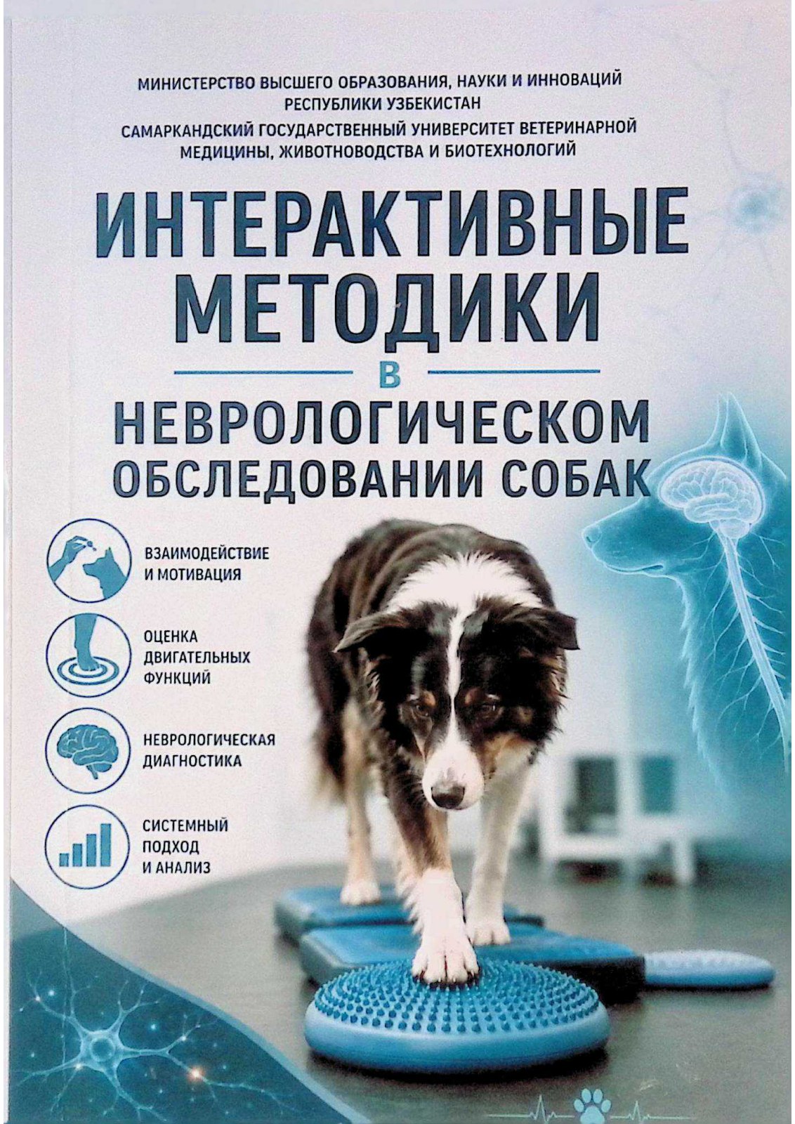 Интерактивные методики в неврологическом обследовании собак