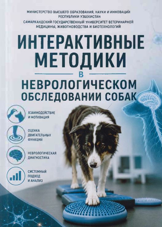 Интерактивные методики в неврологическом обследовании собак