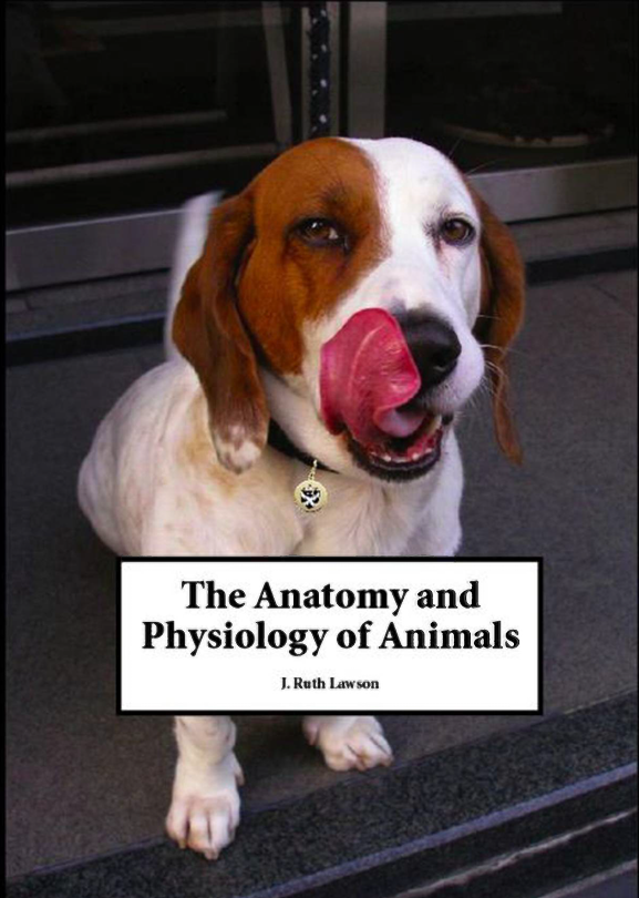 Anatomy and Physiology of Animals