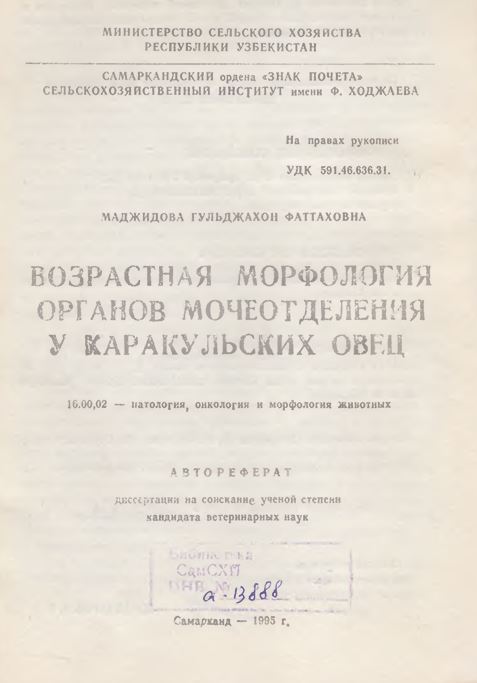 Возрастная морфология органов мочеотделения у каракульских овец