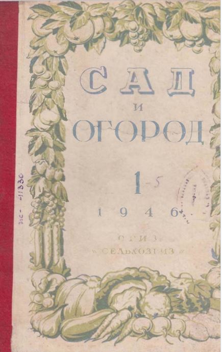 САД И ОГОРОД