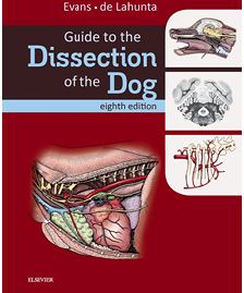 Guide to the Dissection of the Dog.Howard E. Evans