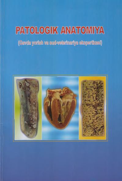 PATOLOGIK ANATOMIYA-2017.B.A. Kuliyev