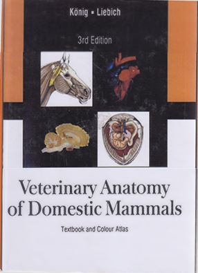 Veterinary Anatomy of Domestic Mammals.H.E.Konig 