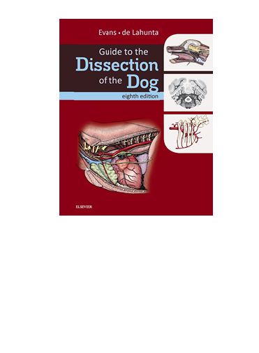 Guide to the Dissection of the Dog-Howard E.Evans